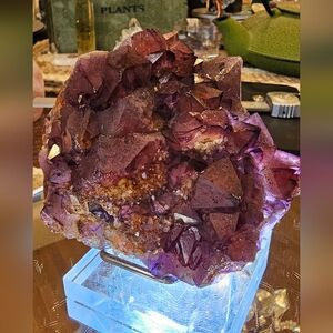 Alien Amethyst Cluster Shown With Differing Light Sources